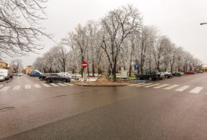 Dwie schodzace się ulice, przy nich zaporkowane samochody. Pomiędzy ulicami drzewa przyprószone śniegiem